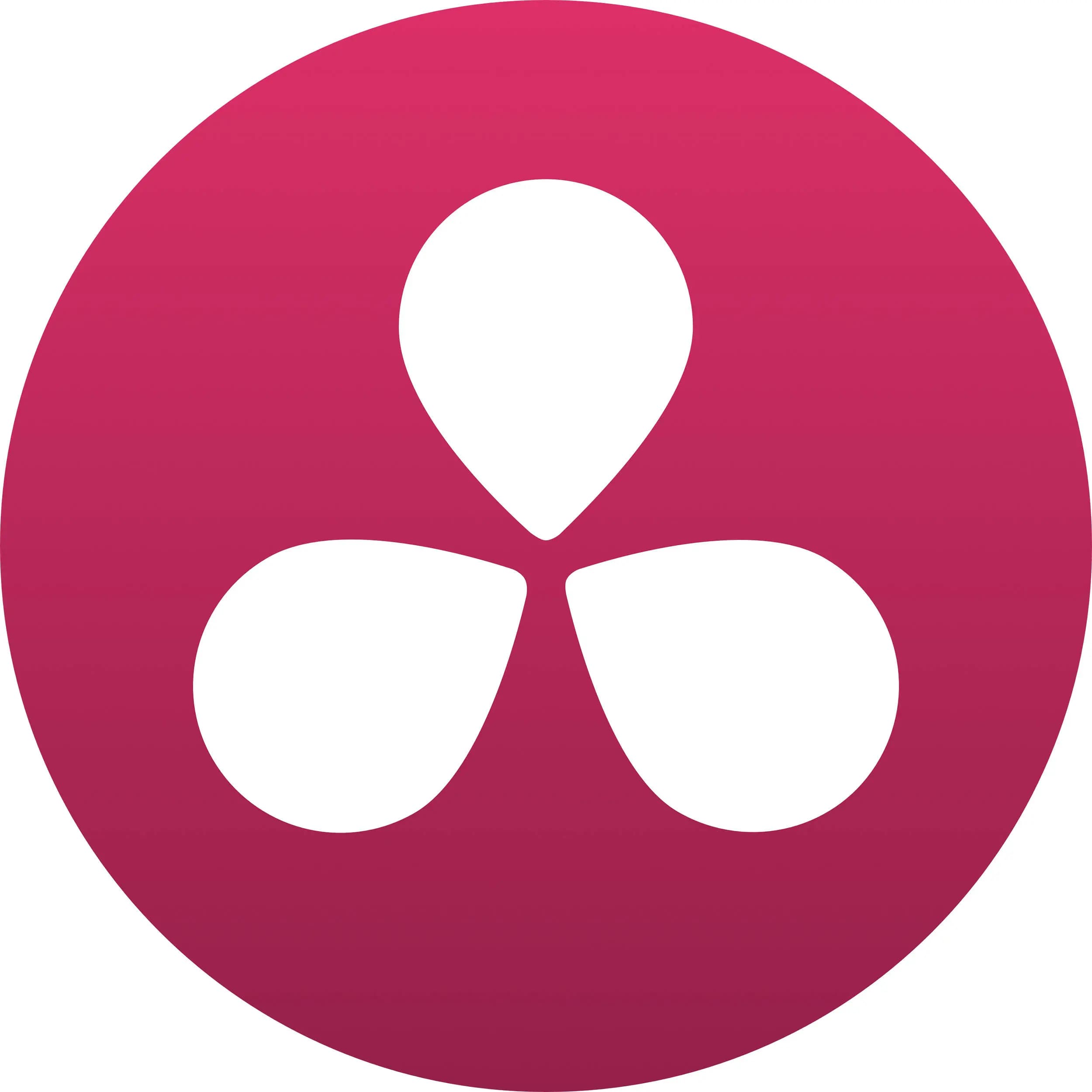 Blackmagic Design DaVinci Resolve Studio logo