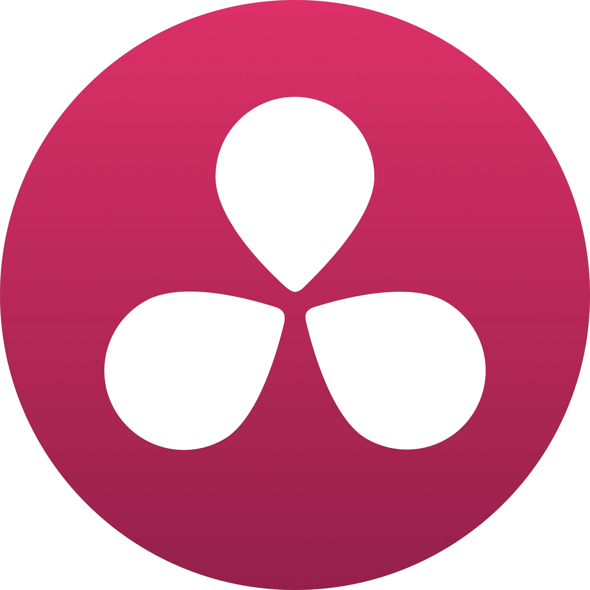 Blackmagic Design DaVinci Resolve Studio logo