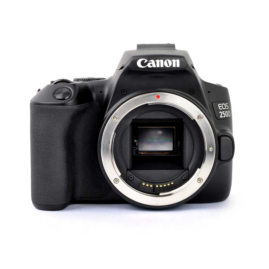  Canon EOS 250D (Rebel SL3) DSLR Camera w/ 18-55mm is STM Lens  (International Version) No Warranty (White) : Electronics